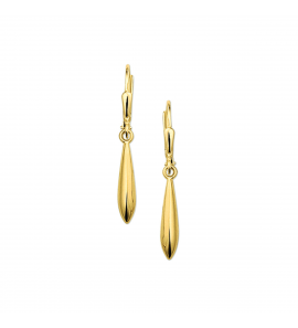 Goud oorhangers pegel glad 19x4 mm - 3221941