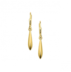Goud oorhangers pegel glad 19x4 mm - 3221941