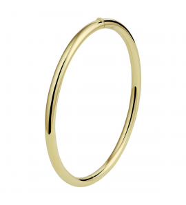 Goud bangele ovaal met schanier 60x52 4 mm - 3221917
