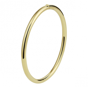 Goud bangele ovaal met schanier 60x52 4 mm - 3221917