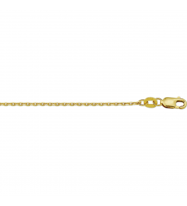 Goud collier anker 1.6 mm 45 cm - 3222186