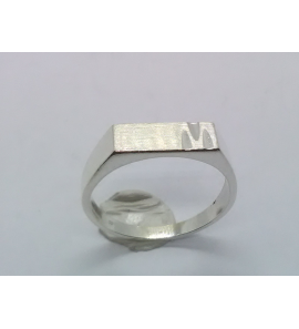 Zilver herenring rechthoek diamante 14x5 mm mt. 21 - 3222492