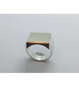 Zilver herenring rechthoek 16x14 mm mt. 19¼ - 3222422