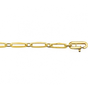Goud closd-for-ever m.t.o. 3.8 mm 19 cm - 3222814
