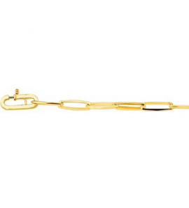 Goud closd-for-ever z.t.o. 5.5 mm 19 cm - 3222819