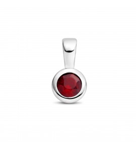 Zilver RH geboortesteen hanger 5.5 mm Januari Granaat 0.35 ct - 3223786