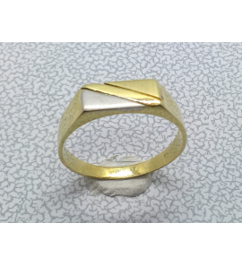 Goud herenring bicolour rechthoek mt. 20 - 3223609