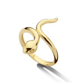Goud dames ring slag mt 16¢ - 3223757