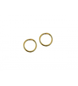 Zilver all day klap-creolen 10 mm glad 22k verguld - 188