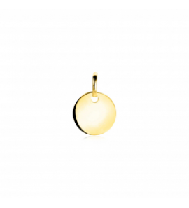 Zinzi Gold hanger rond plaatje glad10 mm - 305