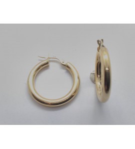 Goud oorringen rond 20x2.7 mm - 877