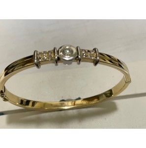 Goud bangle met 1x0.25 en 12x0.03 G/VST - 963