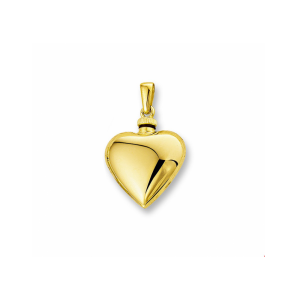 Goud urnhanger hart 17 mm - 3241498