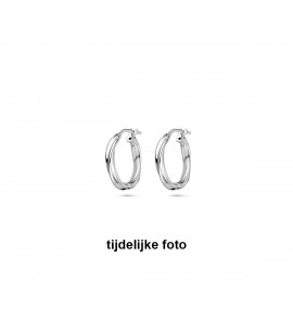 Zilver oorringen tors 2.5x16 mm - 1051