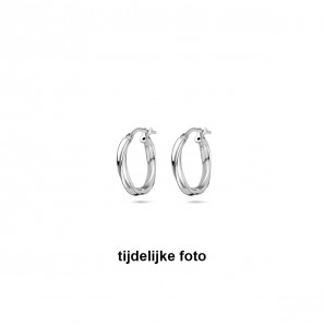Zilver oorringen tors 2.5x16 mm - 1051