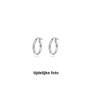 Zilver oorringen facet 2x17 mm - 1054