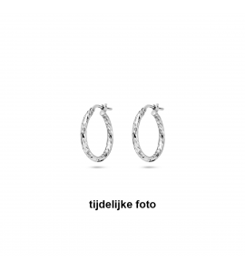Zilver oorringen facet 2x20 mm - 1055
