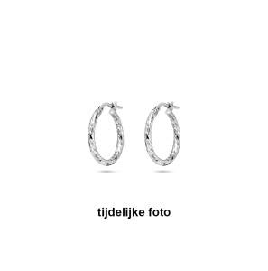 Zilver oorringen facet 2x20 mm - 1055