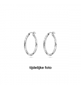 Zilver oorringen facet 2x25 mm - 1056