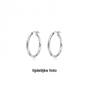 Zilver oorringen facet 2x25 mm - 1056
