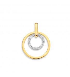 Goud bi-colour hanger 2 rondjes een vol zirkonia&#39;s - 1199