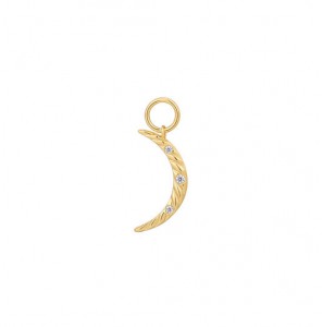 ANIA HAIE POP CHARMS - OORBEDELS - 3230173