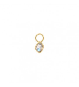 ANIA HAIE POP CHARMS - OORBEDELS - 3230182