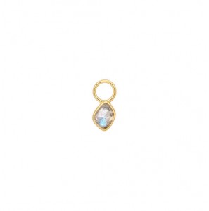 ANIA HAIE POP CHARMS - OORBEDELS - 3230182