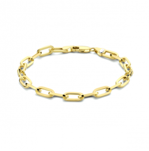 Gouden armband rechthoek jasseron 4 mm 19 cm - 3230263