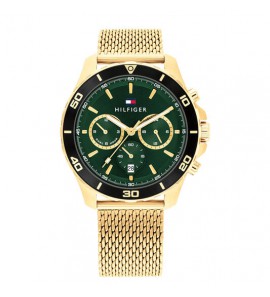 TOMMY HILFIGER JORDAN - Ø43 - GOUDKLEURIG - 3230476