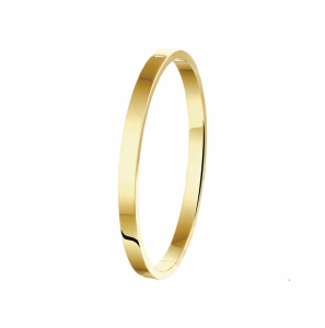 ZilGold bangle scharnier massief vlakke buis 61 x 5 mm - 3230539