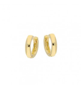 Goud klapoorringen Rond 10 x 2.0mm - 3240106