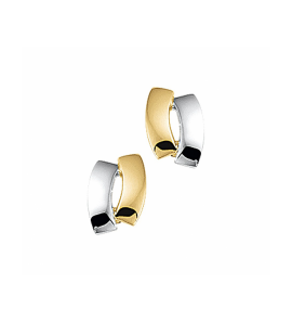 Goud oorknoppen - 3241607