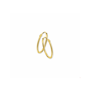 Goud oorringen ronde buis 1.3x17 mm - 3230871