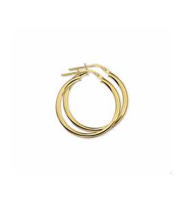 Goud oorringen ronde buis 2.5 mm 25 mm - 3240556