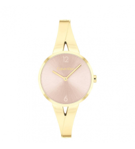 Calvin Klein CK25100027 Dames Horloge Staal 30mm - 3241013