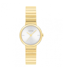 Calvin Klein CK25200416 Dames Horloge Staal 25mm - 3241016