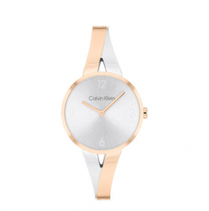 Calvin Klein CK25100028 Dames Horloge Staal 30mm - 3241017
