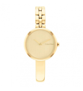 Calvin Klein CK25200279 Dames Horloge Staal 28mm - 3241044