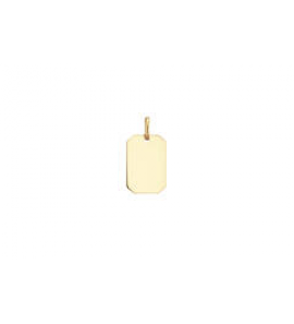 Goud graveerplaatje rechthoek 11x16 mm - 3241066