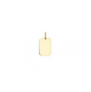 Goud graveerplaatje rechthoek 11x16 mm - 3241066