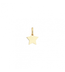 Goud graveerplaatje ster 10 mm - 3241067