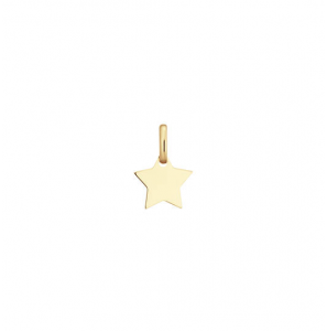 Goud graveerplaatje ster 10 mm - 3241067