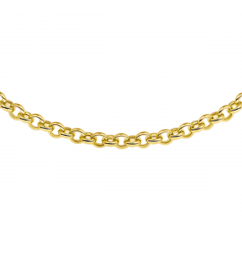 Goud collier jasseron 5.5 mm 45 cm - 3241125
