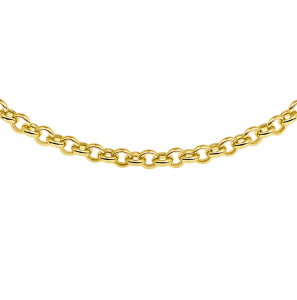 Goud collier jasseron 5.5 mm 45 cm - 3241125