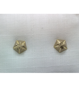 Goud oorknoppen met granaat - 3241336