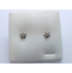 Wit Goud oorsteker sp.chaton met 2x0.015 crt  diamant - 3241364