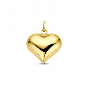 Goud hanger hartje bol 15 mm - 3241376