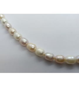 Collier zw parel multi kleur 43.5 cm - 3241450