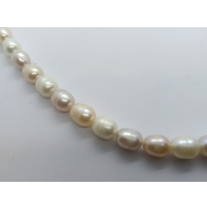 Collier zw parel multi kleur 43.5 cm - 3241450